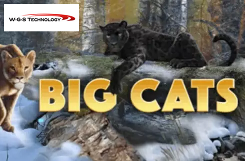 Big Cats